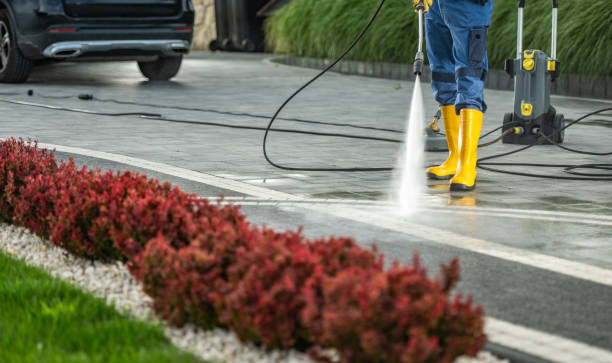 Best Residential Pressure Washing Services  in Miami Shores, FL